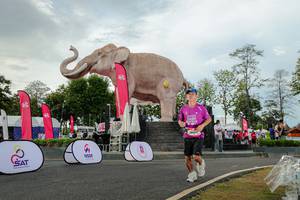 BIB: 
                            <button type="button" onclick="openModal(26528431)" class="btn btn-primary btn-sm float-right btn-popup" data-toggle="modal" data-target=".modal-high-quality">
                        <i class="fas fa-shopping-cart"></i> Add to Cart
                    </button>
                                            <button type="button" onclick="isThisMe(26528431, true)" class="btn btn-success btn-sm float-right btn-popup btn-isme hidden" data-toggle="tooltip" data-placement="bottom" title="นี่คือรูปของคุณใช่ไหม คลิกที่นี่เพื่อเอาเข้าอัลบั้ม">
                        <i class="fas fa-plus"></i> Add to album
                    </button>
                    <button type="button" onclick="isThisMe(26528431, false)" class="btn btn-warning btn-sm float-right btn-popup btn-isnotme hidden">
                        <i class="fas fa-ban"></i> Remove from album
                    </button>